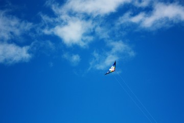 Kite flying on the beach against the background of a beautiful blue sky.