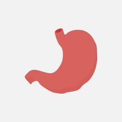stomach icon flat