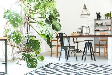 Dining room with a flower