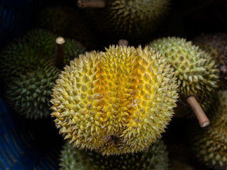 Fototapeta na wymiar fresh durian