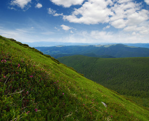 Mountain landscape in summer