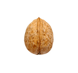 Single walnut isolated on a white