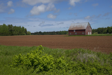 Fototapeta na wymiar A barn in the middle of a field, Prince Edward Island, Canada