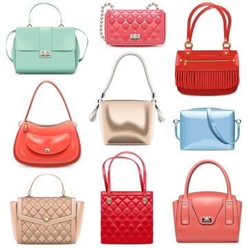 Vector Fashion Handbags