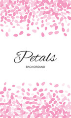 Pink Flying Petals Background