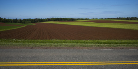 Farmland, Prince Edward Island, Canada