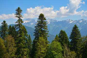 high in the mountains