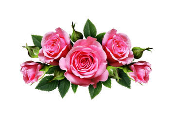 Pink rose flowers arrangement - obrazy, fototapety, plakaty