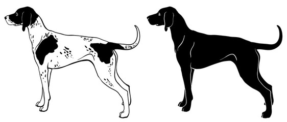 Pointer dog set - outline and silhouette vector