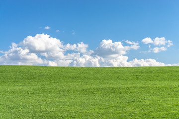 Green grass field with clear blue sky and white clouds - 153126850