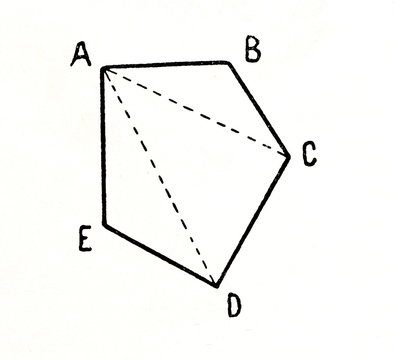 A polygon's diagonals