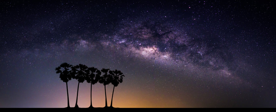 Fototapeta Landscape with Milky way galaxy. Night sky with stars and silhouette coconut palm tree on the mountain. Long exposure photograph.