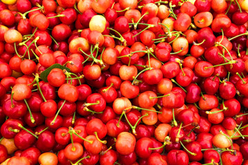 Fresh cherries. Top down overhead view.