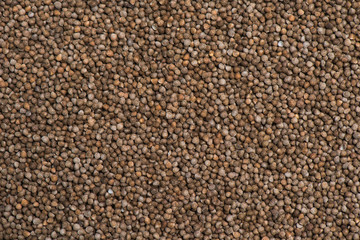 Aromatic sesame background