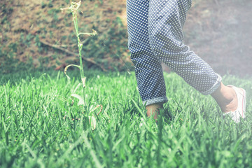 Legs of women walking on a green meadow.