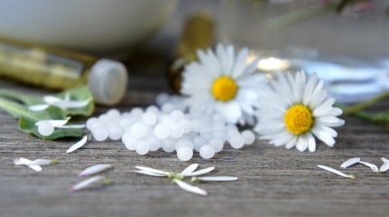 Gänseblümchen, Heilpflanze, Homöohathie © behewa