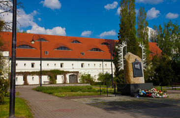 Muzeum w Toruniu, Polska, Museum in Torun, Poland  © 123108 Aneta