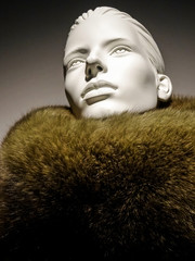 Dummy and fur collar