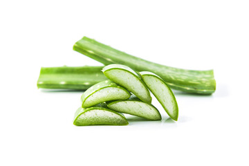 aloe vera isolated