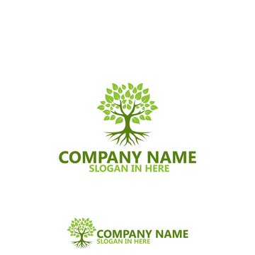 Nature Tree With Root Logo Template Design