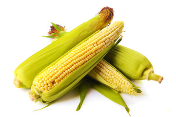 fresh corn fruits with green leaves