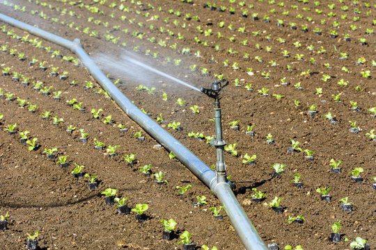 Bewasserungsanlage Photos Royalty Free Images Graphics Vectors Videos Adobe Stock