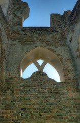 Painshill Ruin