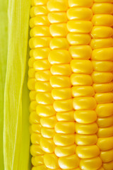 Ripe golden sweet corn close-up, vertical image