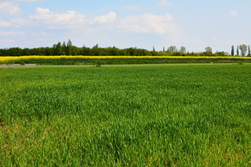 widok na pola © robert6666