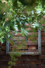 Naklejka na ściany i meble wooden frame on a brick wall in the garden