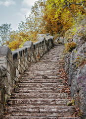 Beautiful upgoing old stone stairway among brown autumn leaves