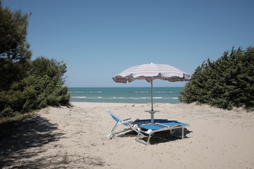Sea with pine forest and umbrella