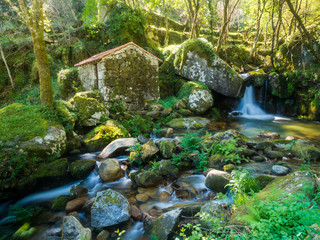 Abandoned little house or mill in the forest in Vale do Douro, Portugal