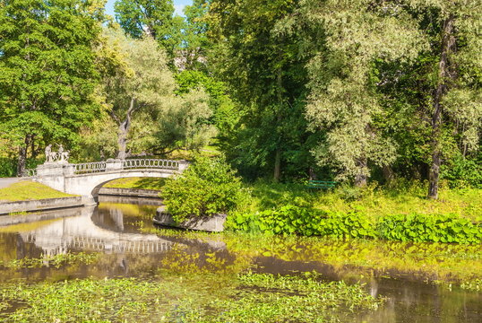 Ancient bridge over the river in a shady park