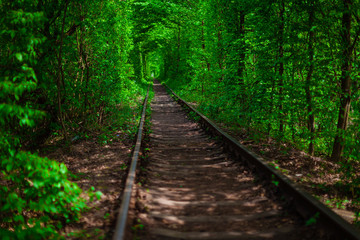 a railway in the spring forest tunnel of love