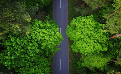 Road through the forest, aerial view