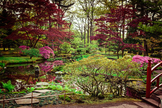 Beautiful Japanese garden in spring. Den Haag, Holland