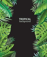 Background with tropical plants 