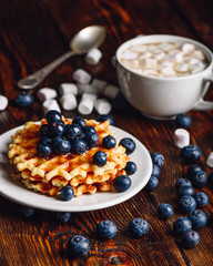 Waffles with Blueberry and Cup of Cocoa.