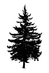 Silhouette of pine tree. Hand made.