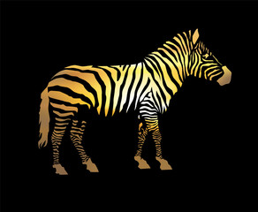 Zebra silhouette. Yellow tones of stripes. Black background.
