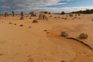 Fototapeta na wymiar Deserto dei pinnacoli a nord di Perth, Nambung, Australia occidentale