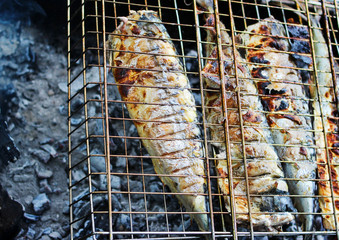 Grilled juicy grilled fish