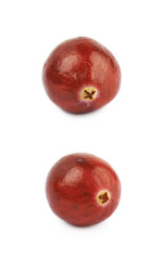 Single ripe cranberry isolated