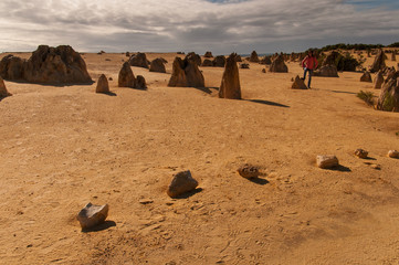 Deserto dei pinnacoli a nord di Perth, Nambung, Australia occidentale