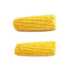 Single corncob isolated