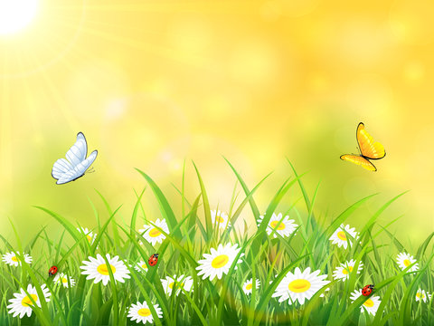 Yellow nature background with sun and butterflies