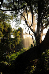 Abendstimmung im Lodge am Ufer des Chobe in Botswana in Afrika