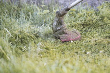 String trimmer mowing the grass, grass particles flying around