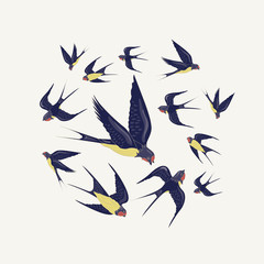 Wreath of flying birds. Swallows. Decorative element for textile design, manufacturing, book covers, wallpapers, print or gift wrap, postcard. Vector illustration